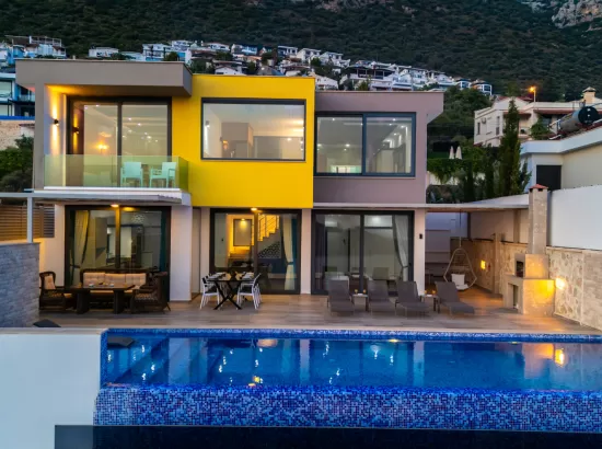 Villa Retro - Bezirgan