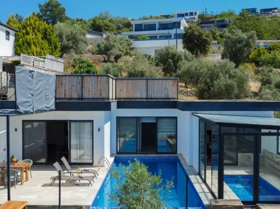 Villa Sezai  - Üzümlü