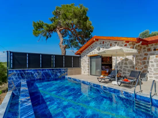 Villa Flower Sıla - Gelemiş